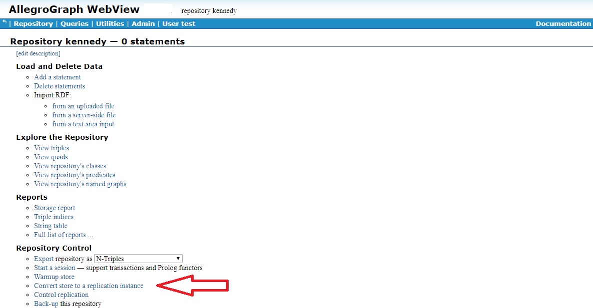 Repo page showing Convert store to replication instance