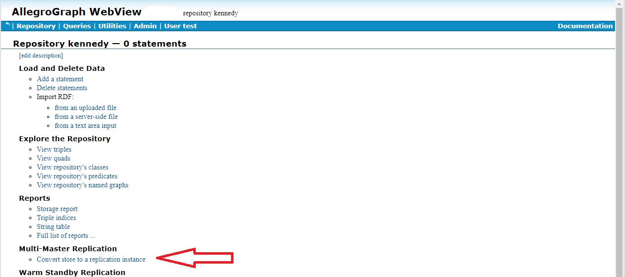 Repo page showing Convert store to replication instance