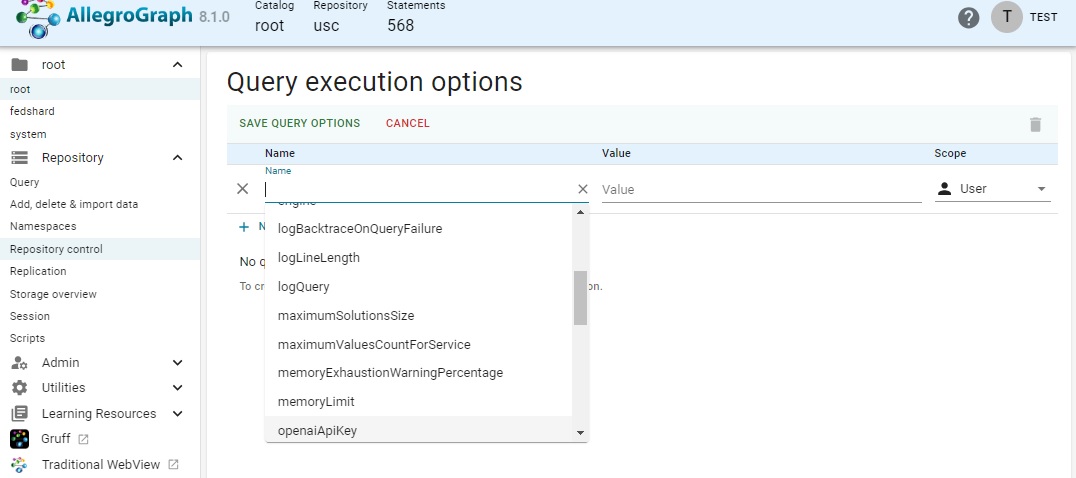 Query execution options