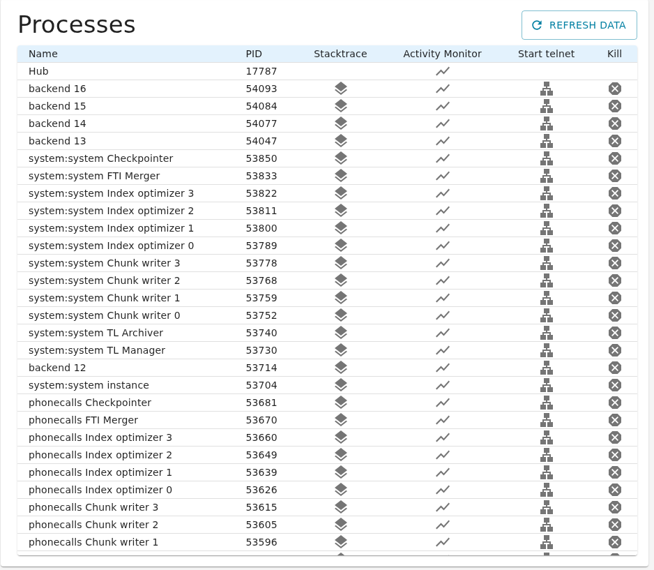 The process list