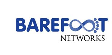 Image result for barefoot networks